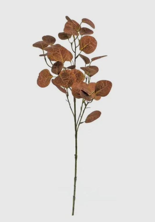 Smokeytree Leaf Spray