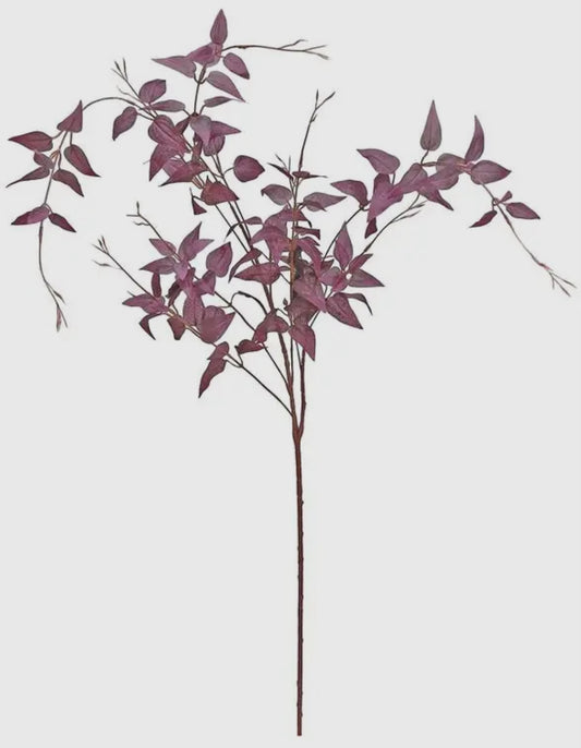 Plum Trailing Clematis Foliage