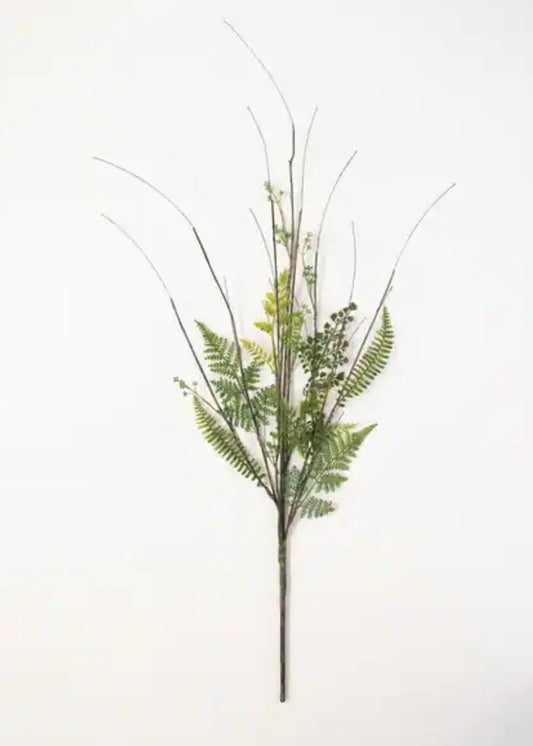 Fern Twig Branch