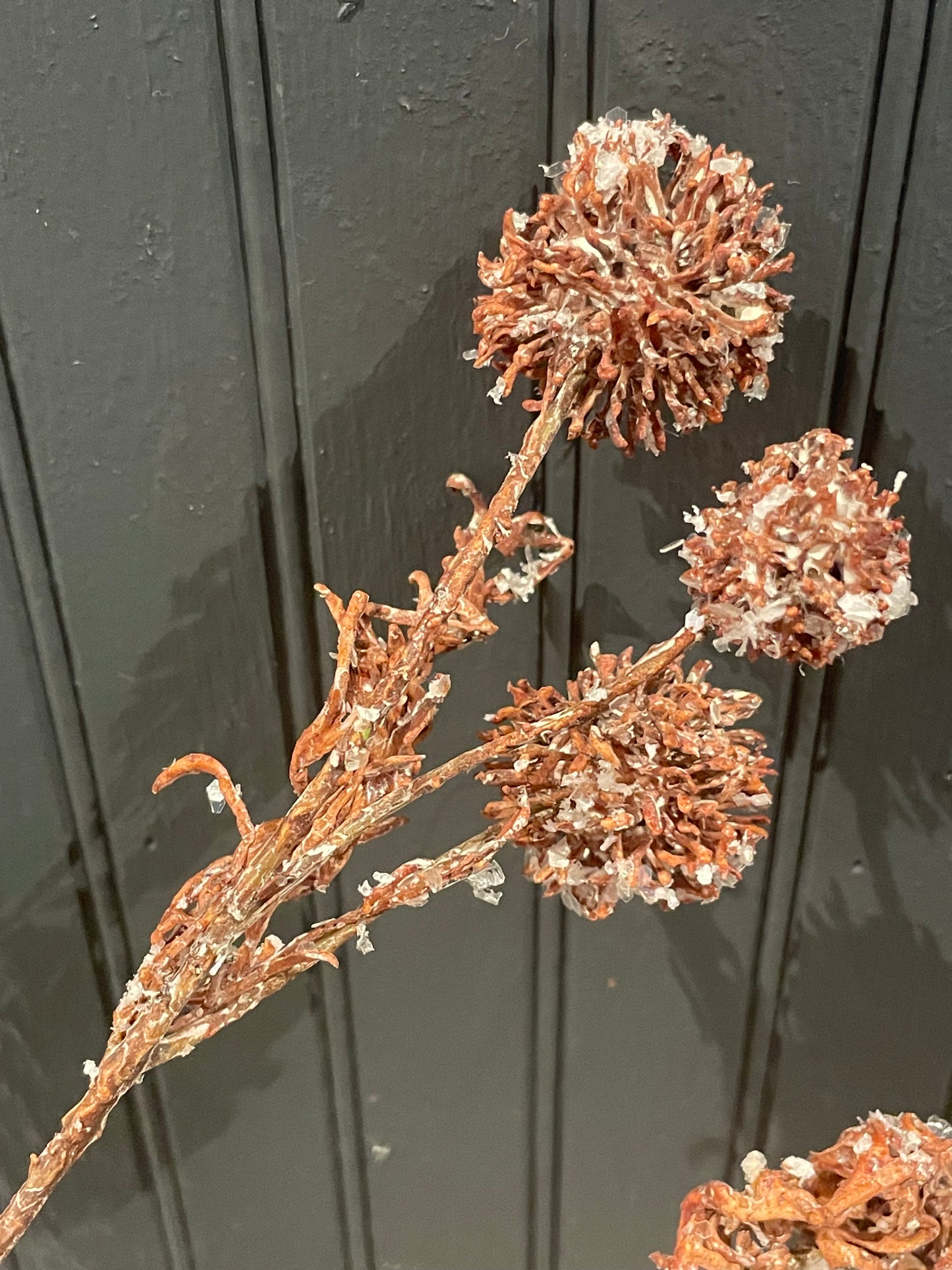 Iced Thistle Stem