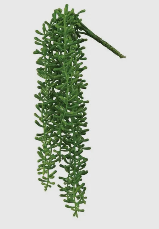 12” Baby Tears Succulent Pick