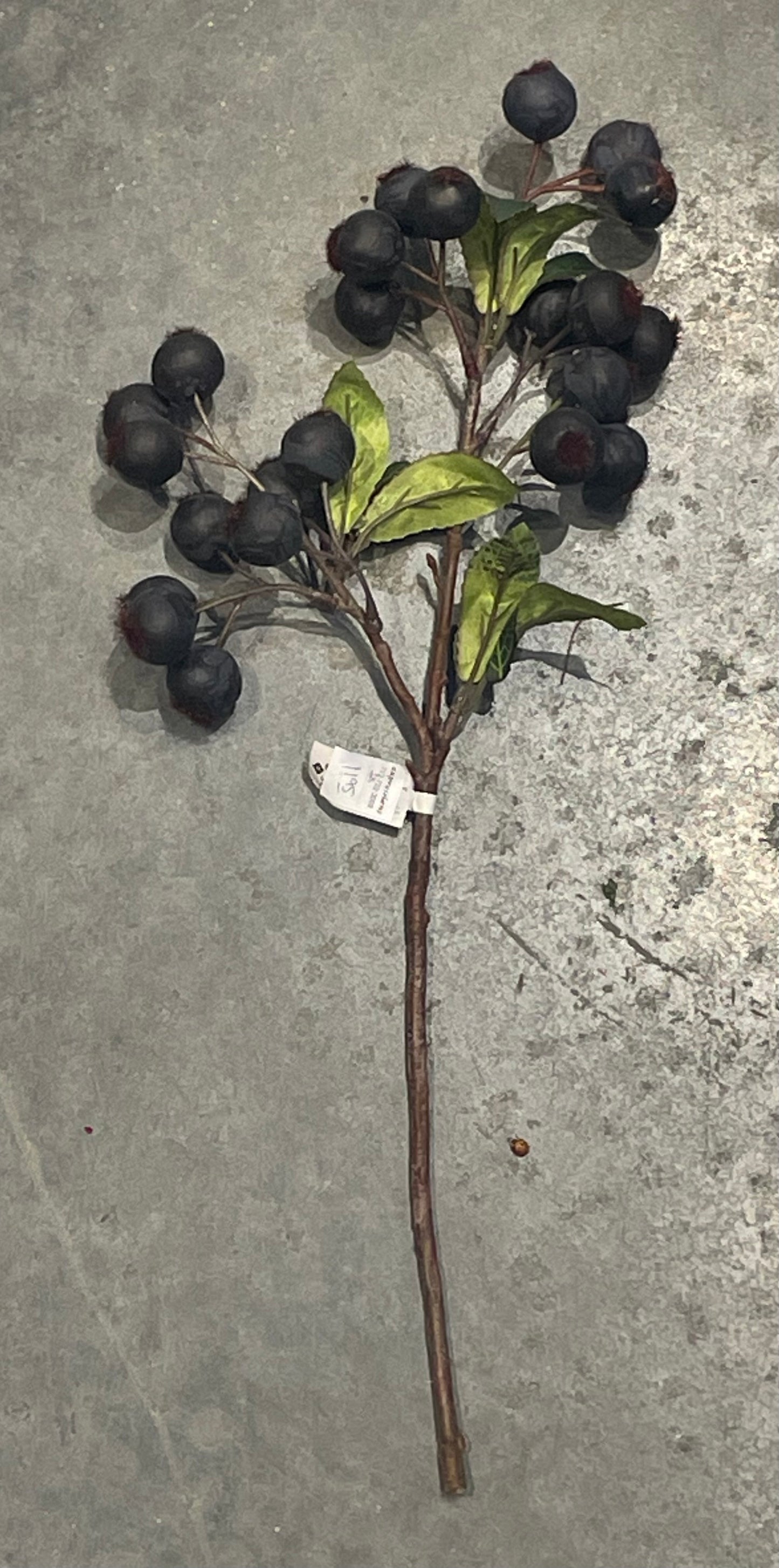 Plum Berry Spray