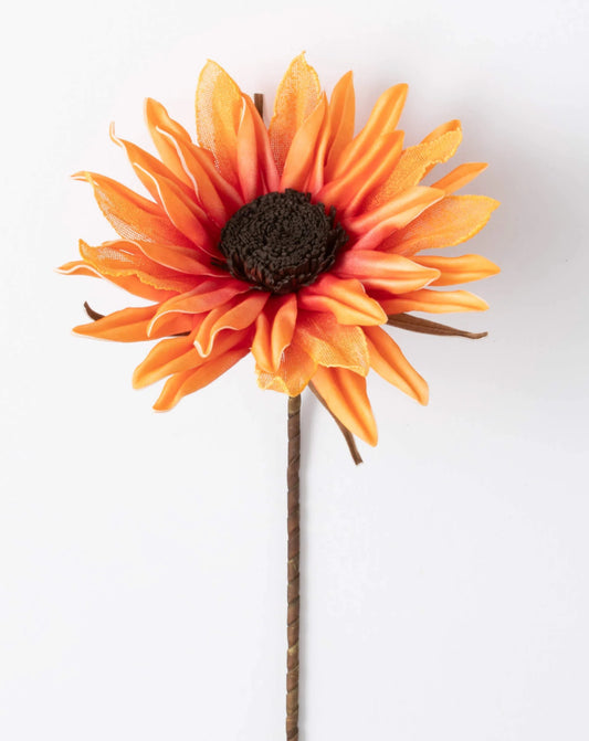 Orange Sunflower Stem