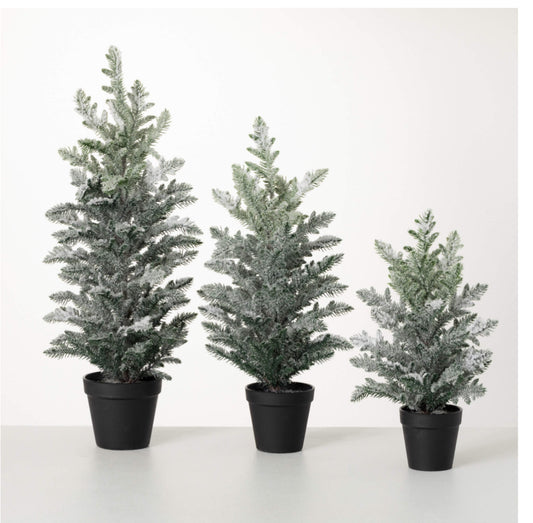 Potted Snowy Pine Tree-Small