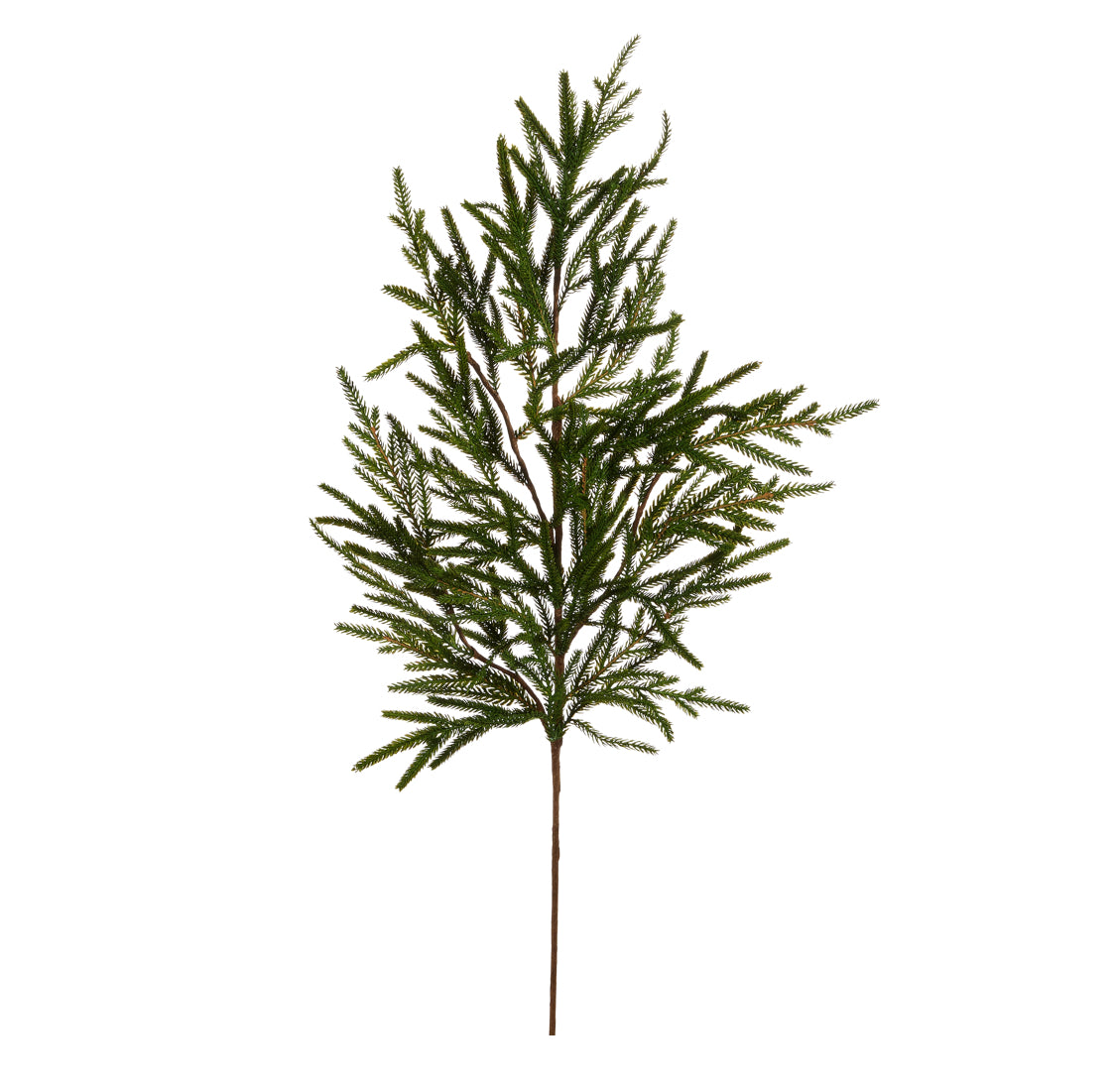 39” Norfolk Pine Branch