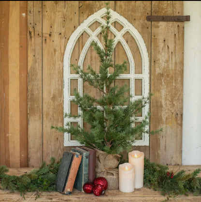 3’ Pine Tree w/Burlap Base