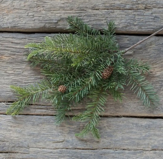 19” Douglas Fir Spray w/ Cones