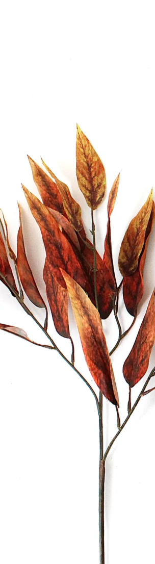 Fall Eucalyptus Stem