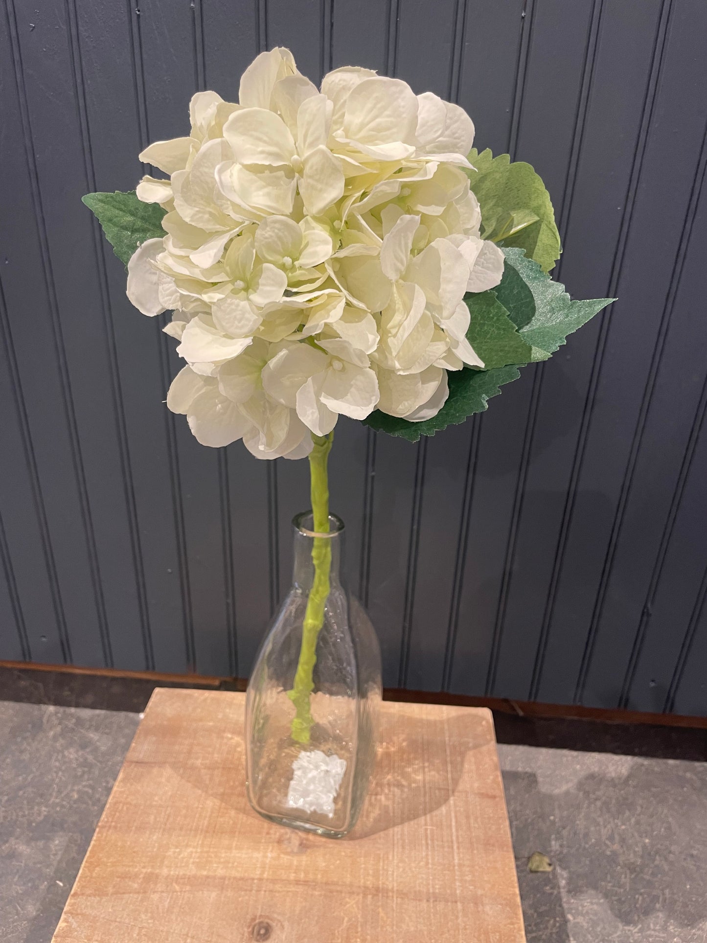 Hydrangea Stem-Snow White