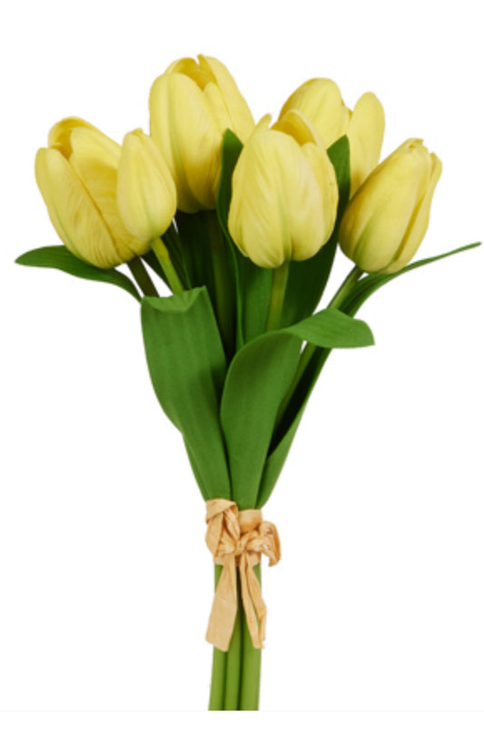 12” Yellow Tulip Bundle