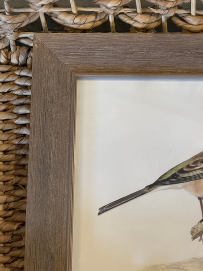 10” x 8” Vintage soft bird illustration F on distressed background