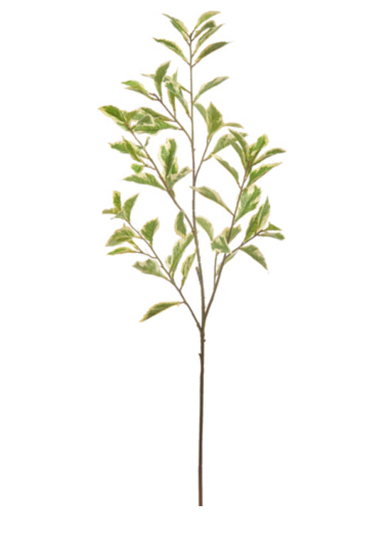 40” Variegated Leaf Branch