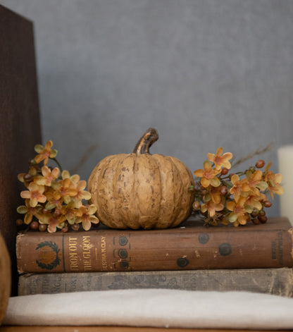 2.75” Beige Short Pumpkin