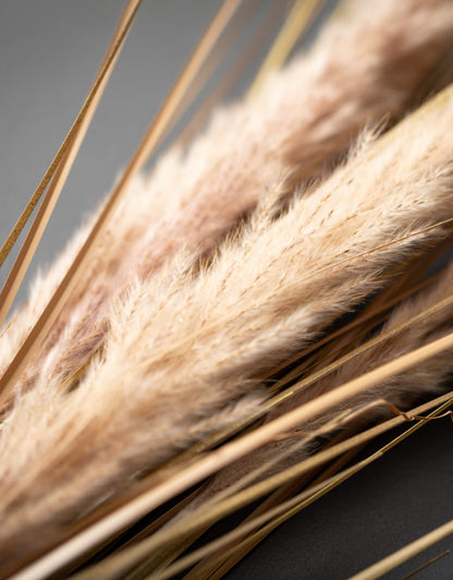 Dried Grass Spray