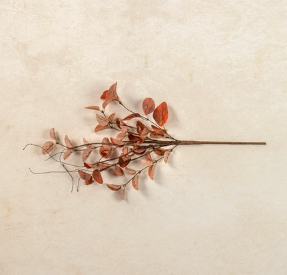 19.5” Orange Eucalyptus & Twig Pick