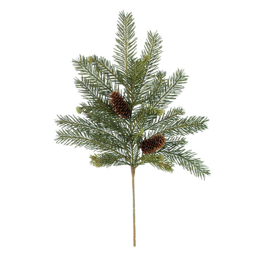 Alpine Fir Pick