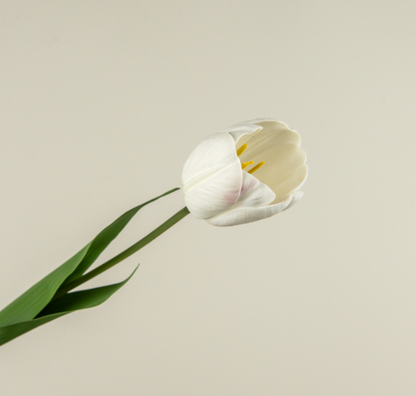 21.5” Soft Touch White Tulip Stem