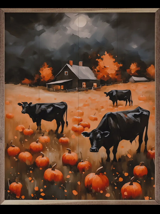 Angus In Pumpkin Field