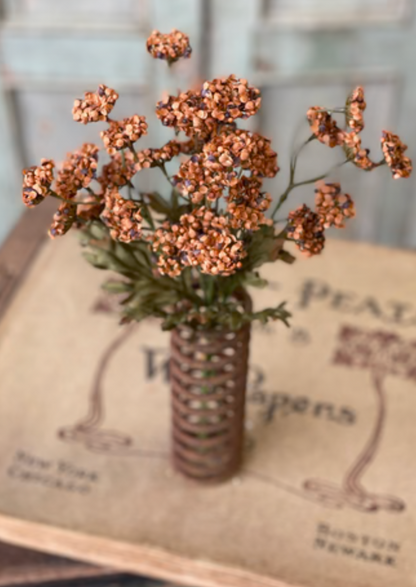 13” Fennel Flower Bundle