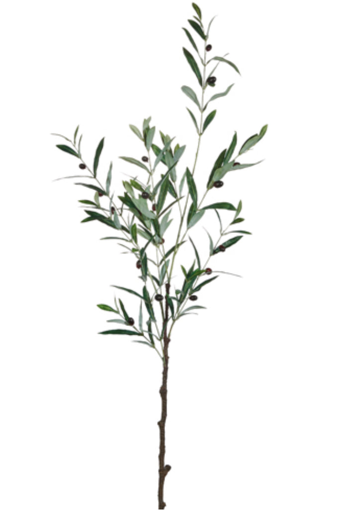 48.5” Olive Leaf Branch