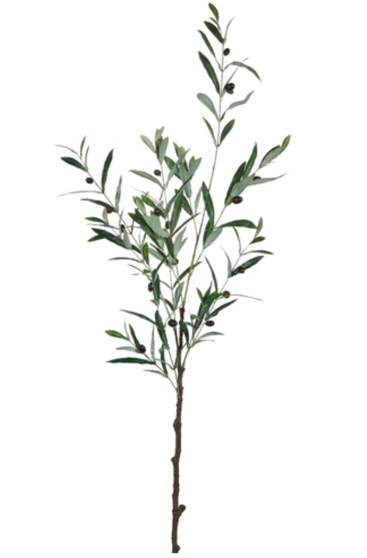 48.5” Olive Leaf Branch