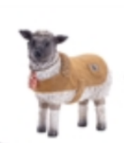 Farm Animals w/Coat