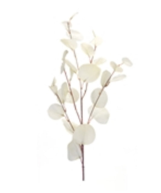 Cream Eucalyptus Spray
