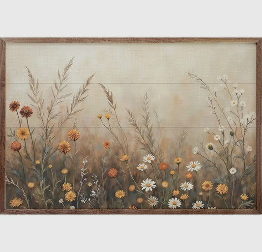 Field With Mums and Daisies