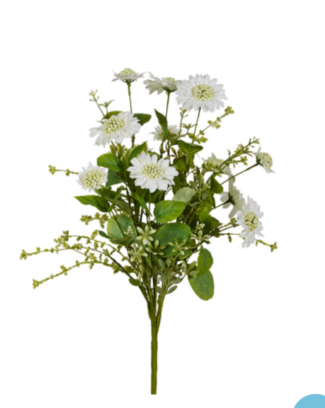 22” White Scabiosa Bush