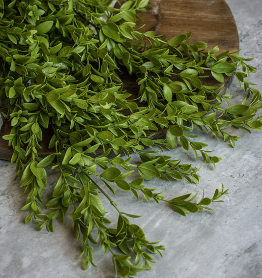 36” Ruscus Leaf Hanging Bush