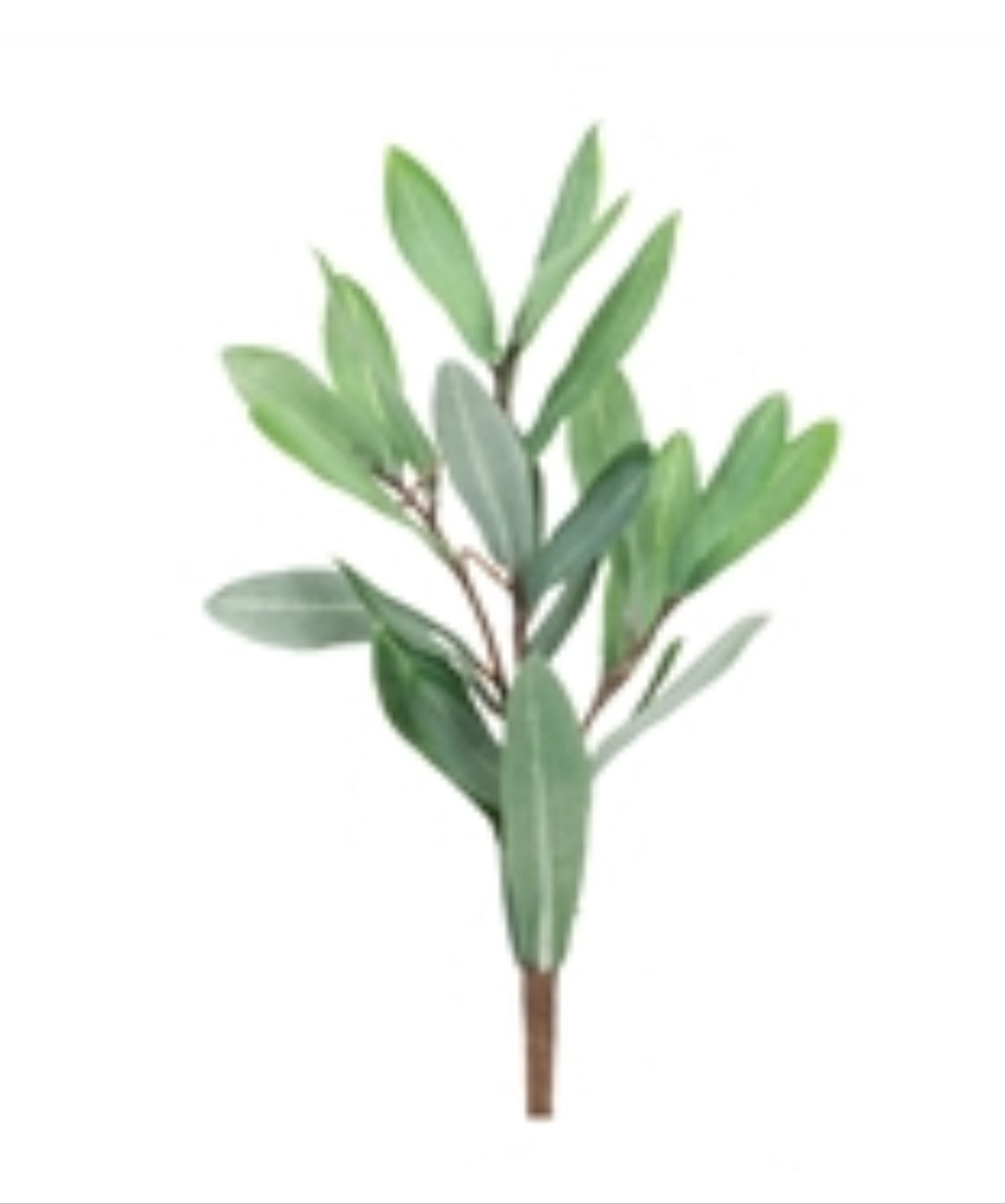 Olive Leaf Pick