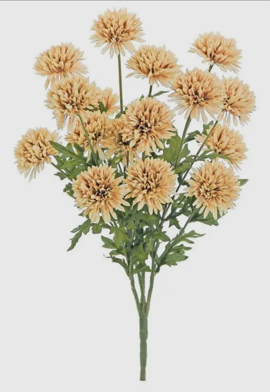 Beige Pom-Pom Mum Bush