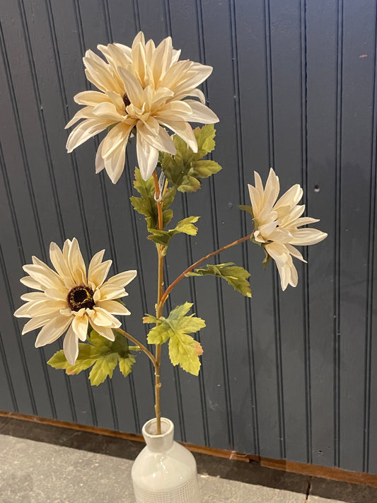 Cream Daisy Mum Stem