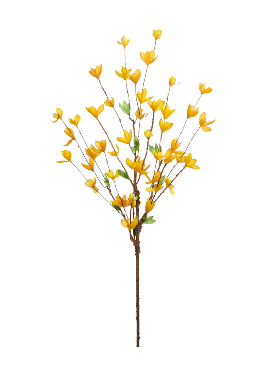 34” Forsythia Branch
