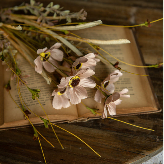 21” Tan Cosmo Bush