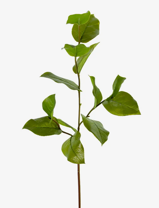 32” Salal Leaf Spray