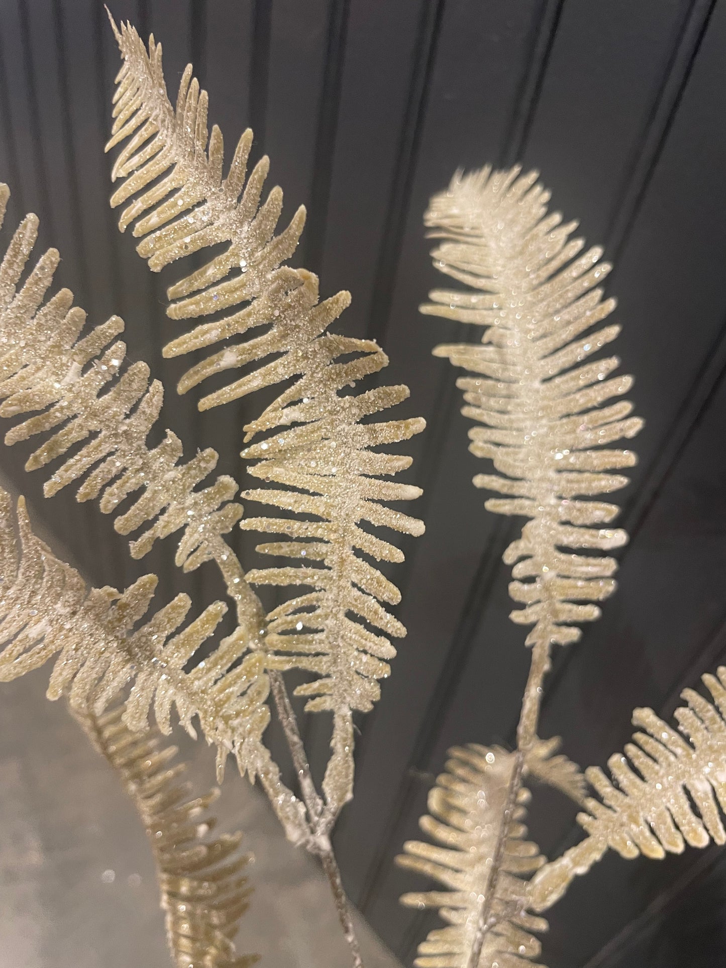 Champagne Fern Stem