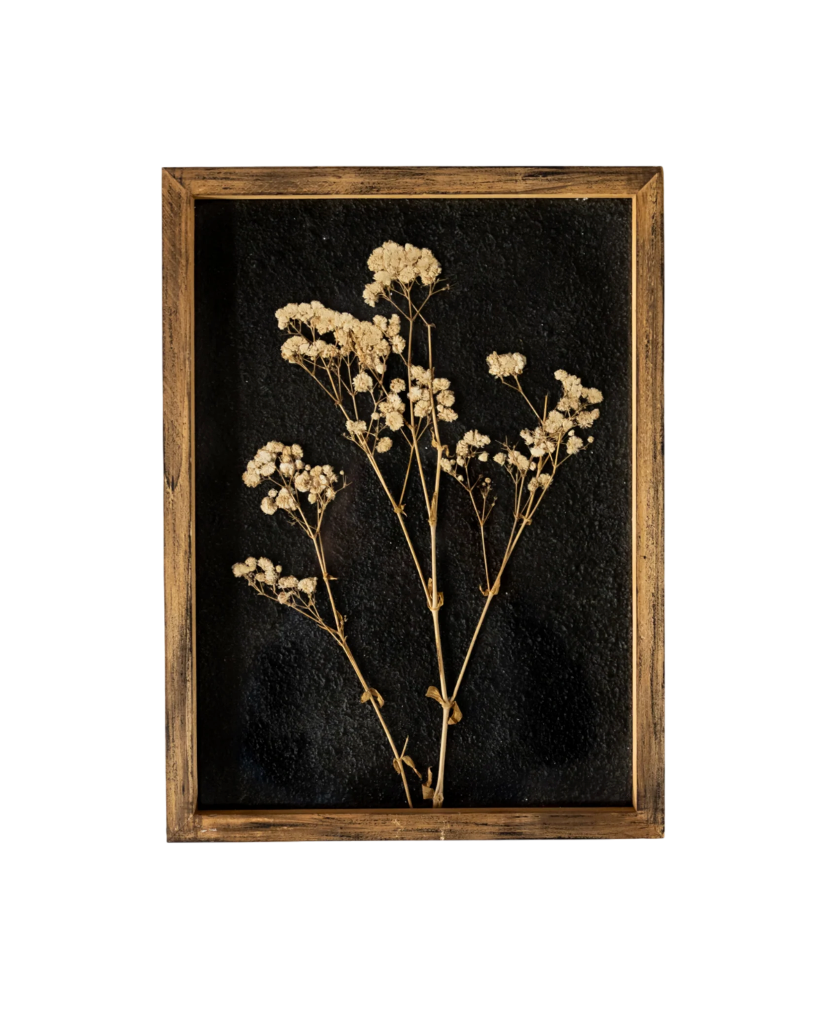 15” Botanical Wall Art- Delicate Pressed Flowers