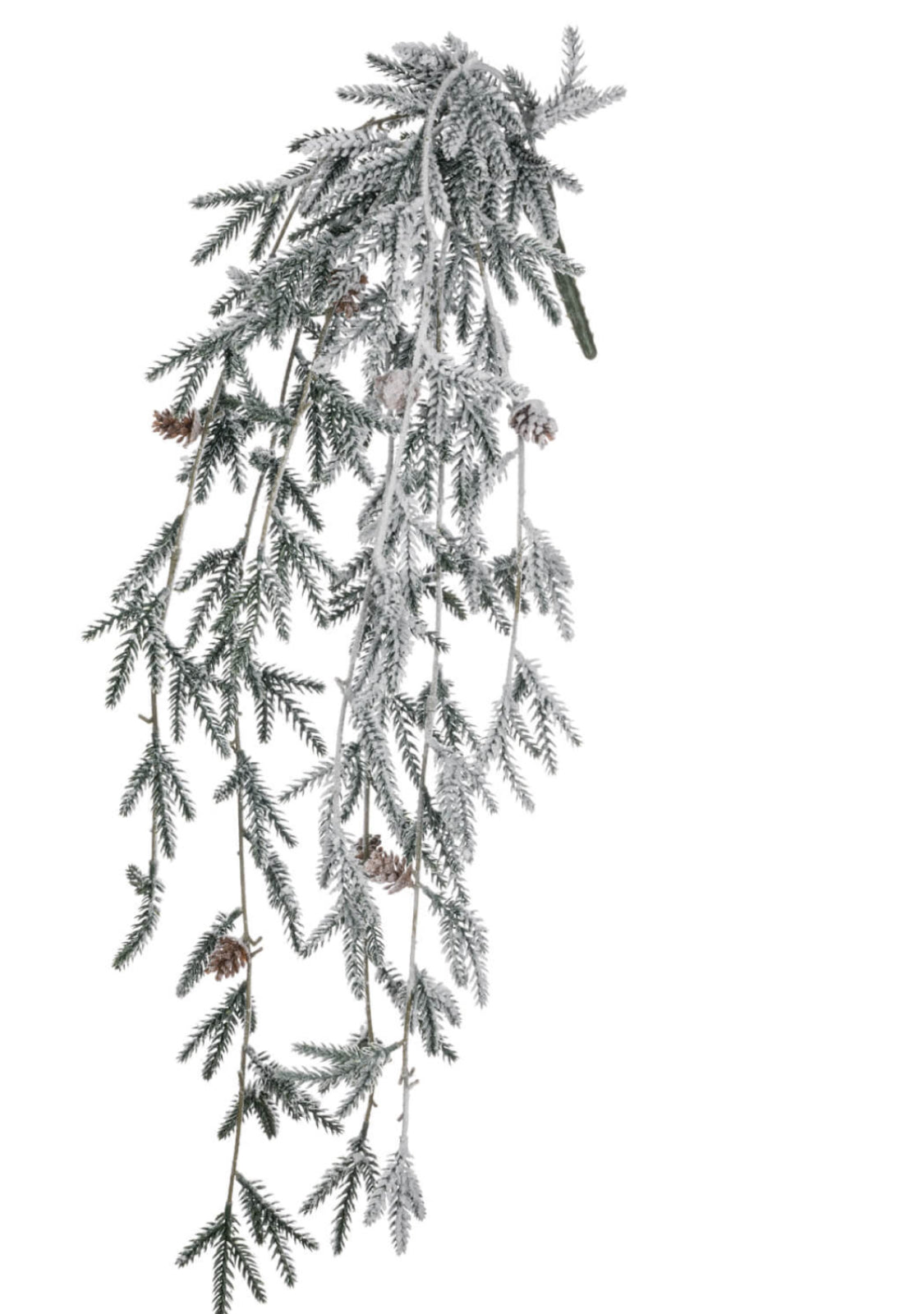 Snowy Pine Cascade Bush