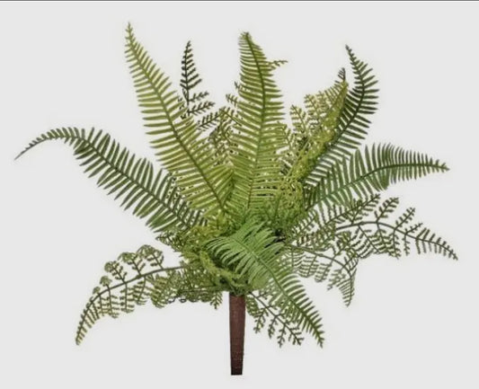 Natural Touch Mixed Fern Plant