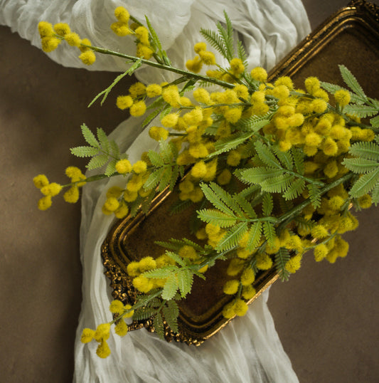 15” Yellow Mimosa BundleBundle