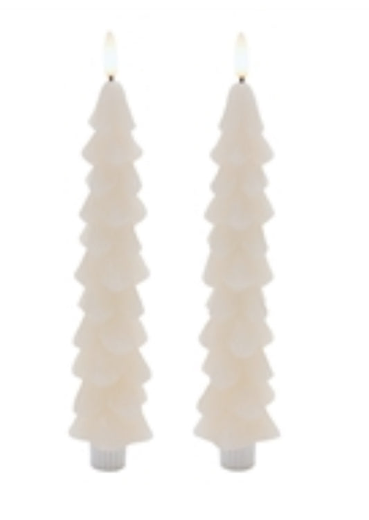 9.5” H Fia Wick Tree Taper Candle-Set/2