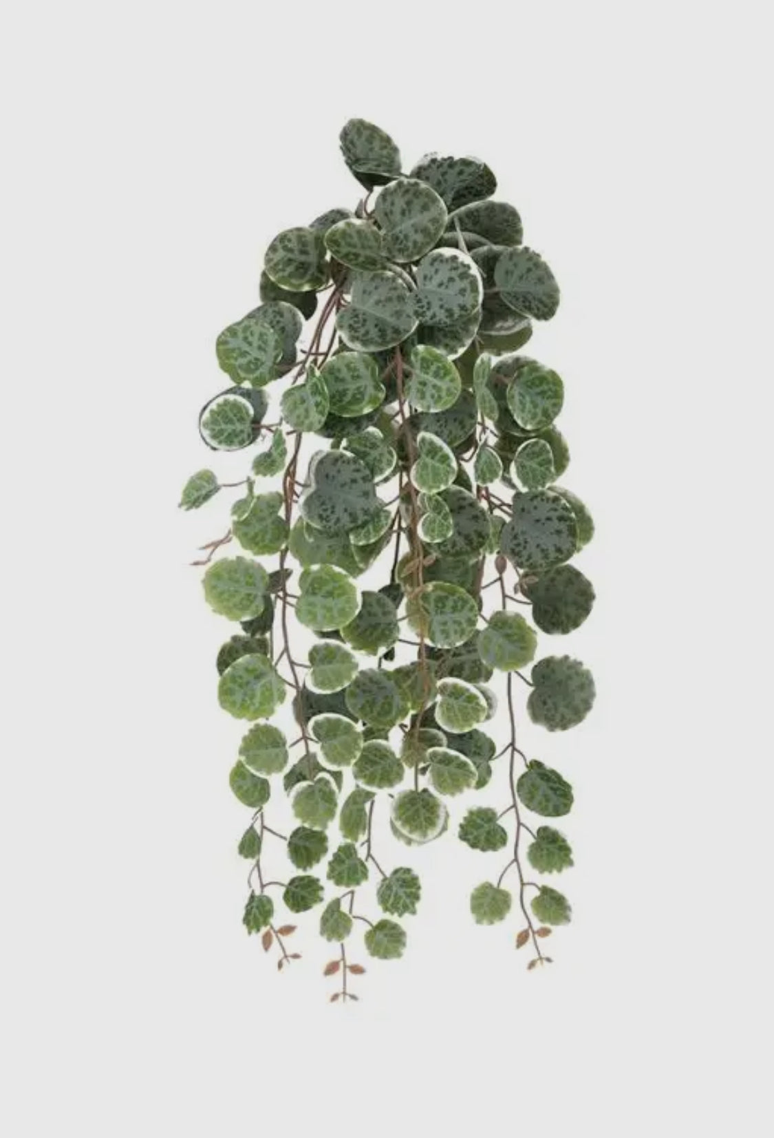 String of Hearts Hanging Bush- Sage/Pink