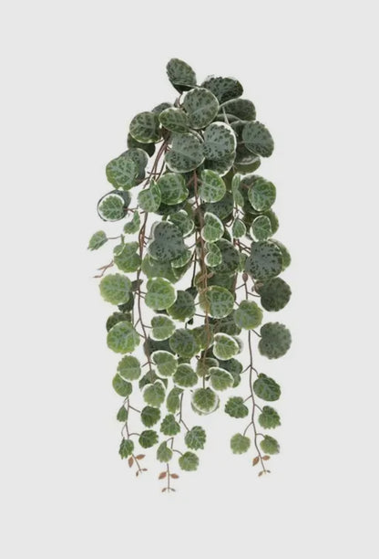 String of Hearts Hanging Bush- Sage/Pink