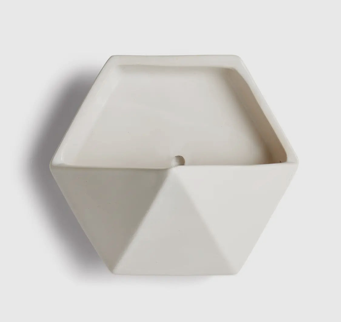 Cassidy Wall Planter