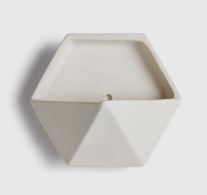 Cassidy Wall Planter
