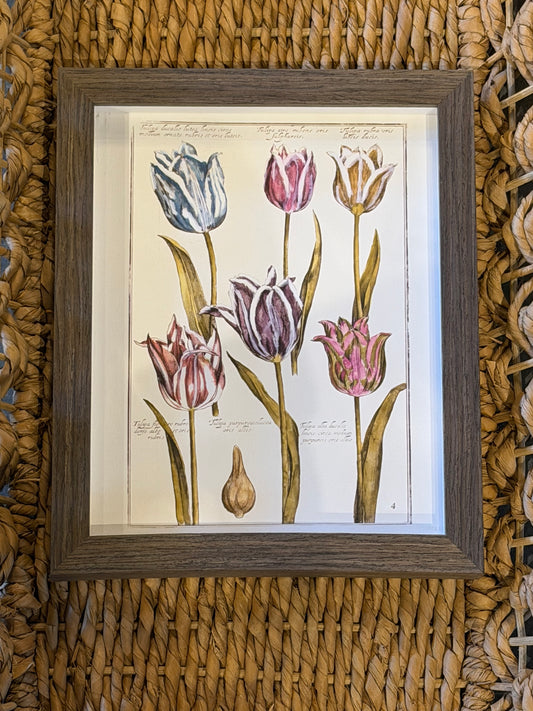 8” x 10” Vintage flower study B sketch watercolor
