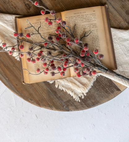 19” Frozen Red Berry Bundle