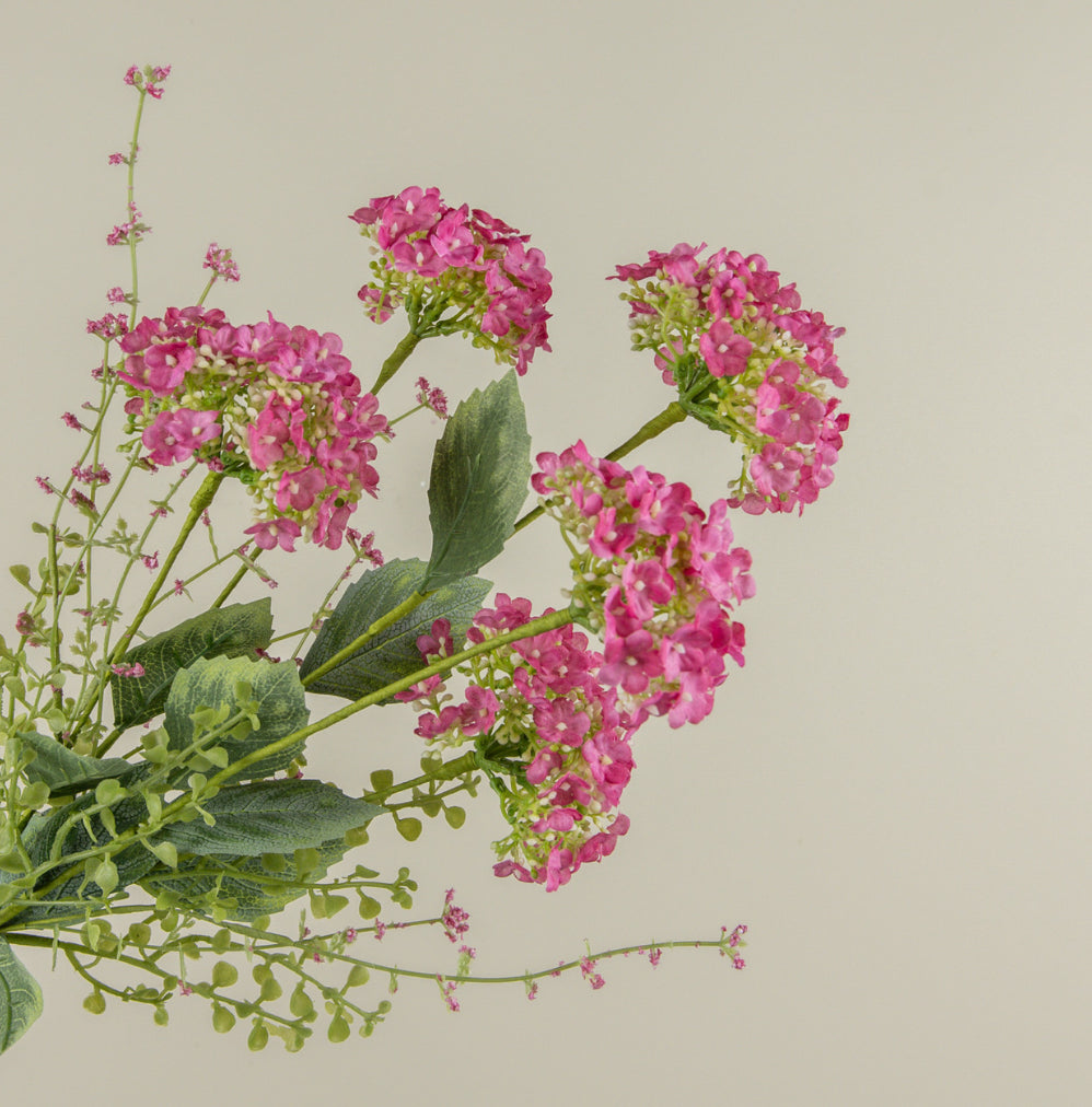 20” Pink Wild Hydrangea Bush