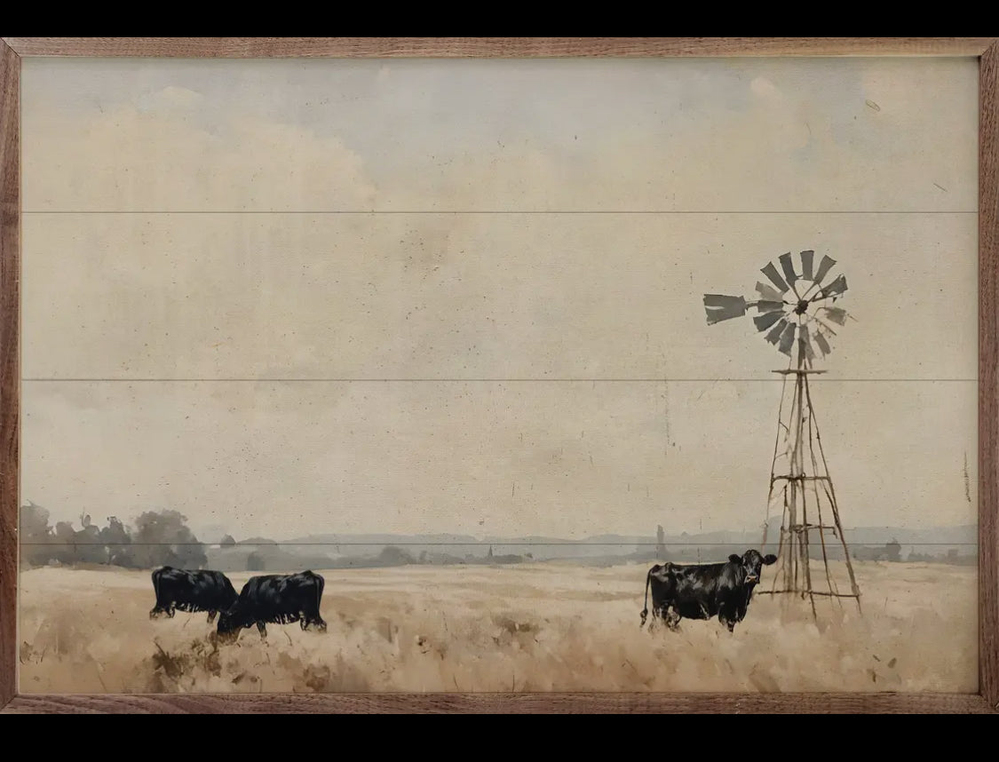 24”x16” Black Cattle w/Windmill